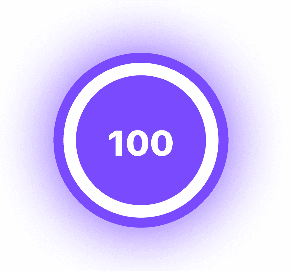 circle with 100 to indicate 100% lightning website performance