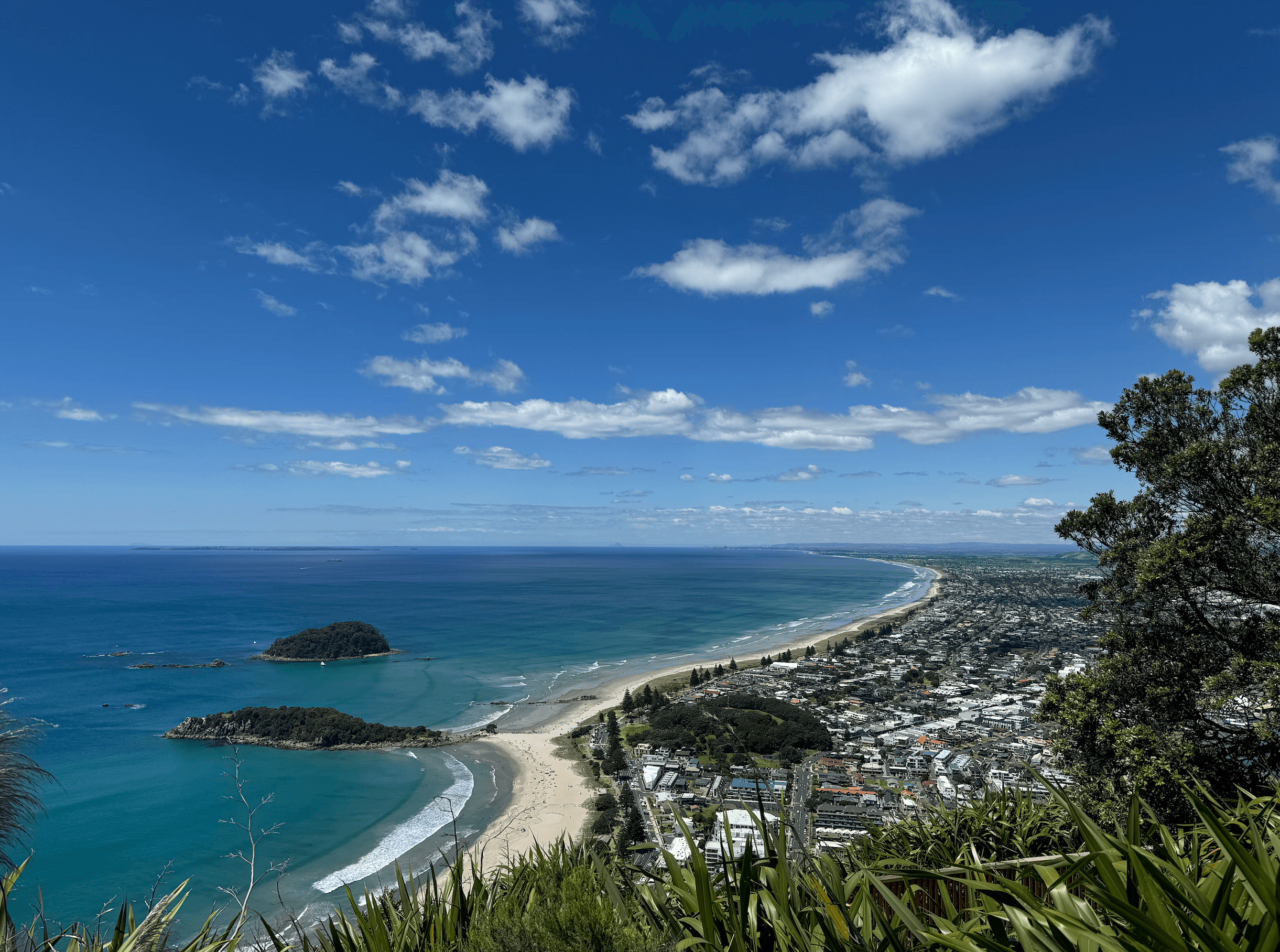 View of the beach of Mt Maunganui, Arataki & Papamoa from on top of the mountain.