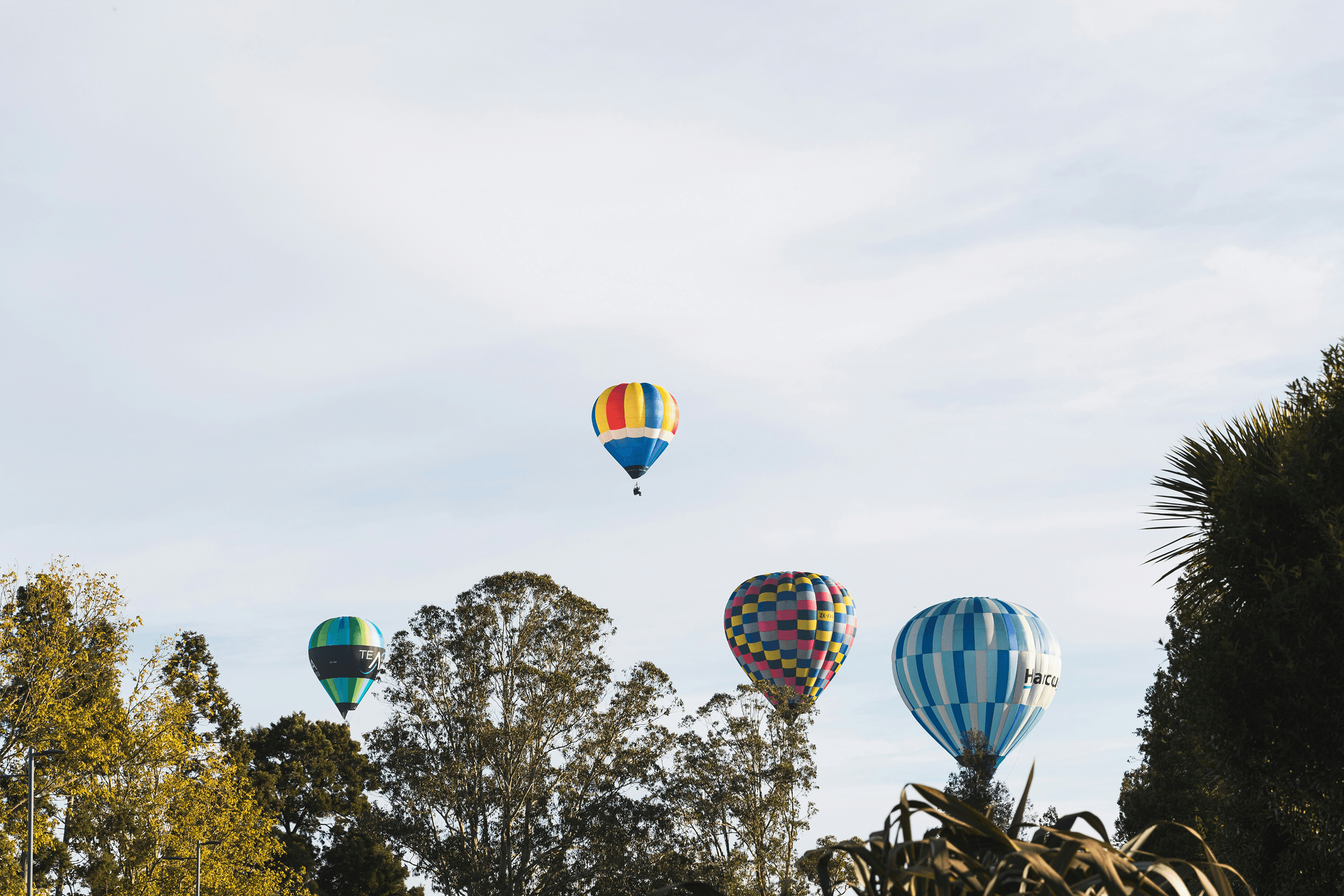 Hot Air Balloons at Hamilton at the Balloons Over Waikato Event