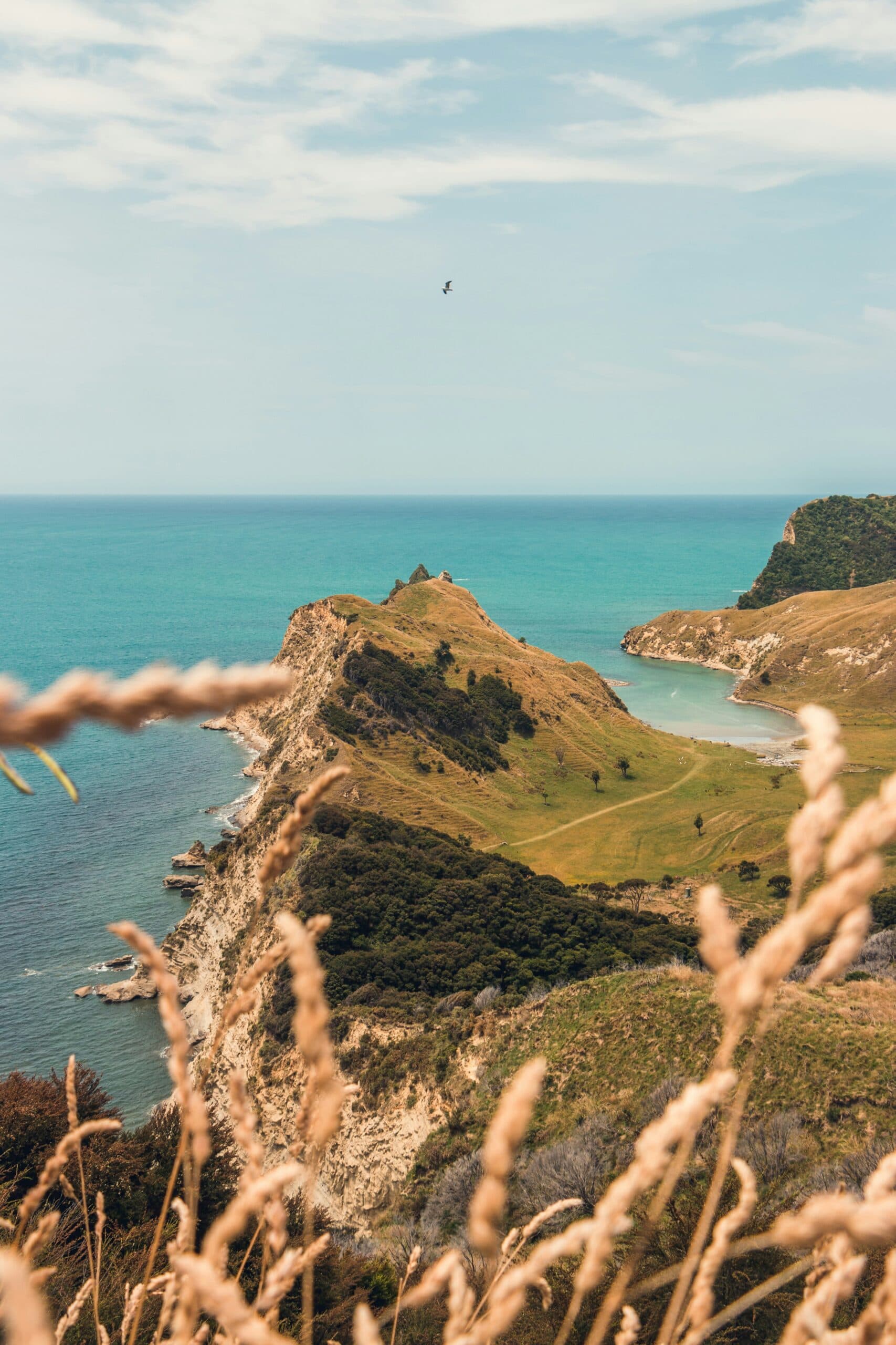 Cook's Cove, Gisborne, New Zealand