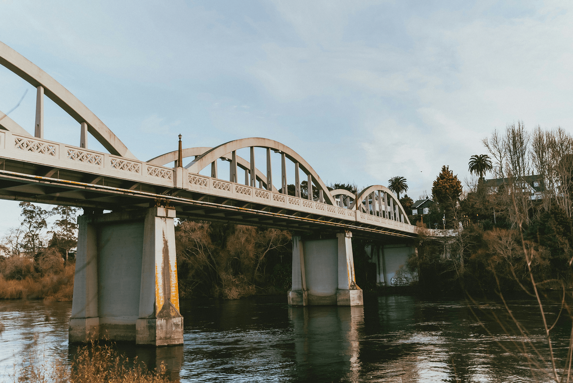 Fairfield Bridge in Hamilton