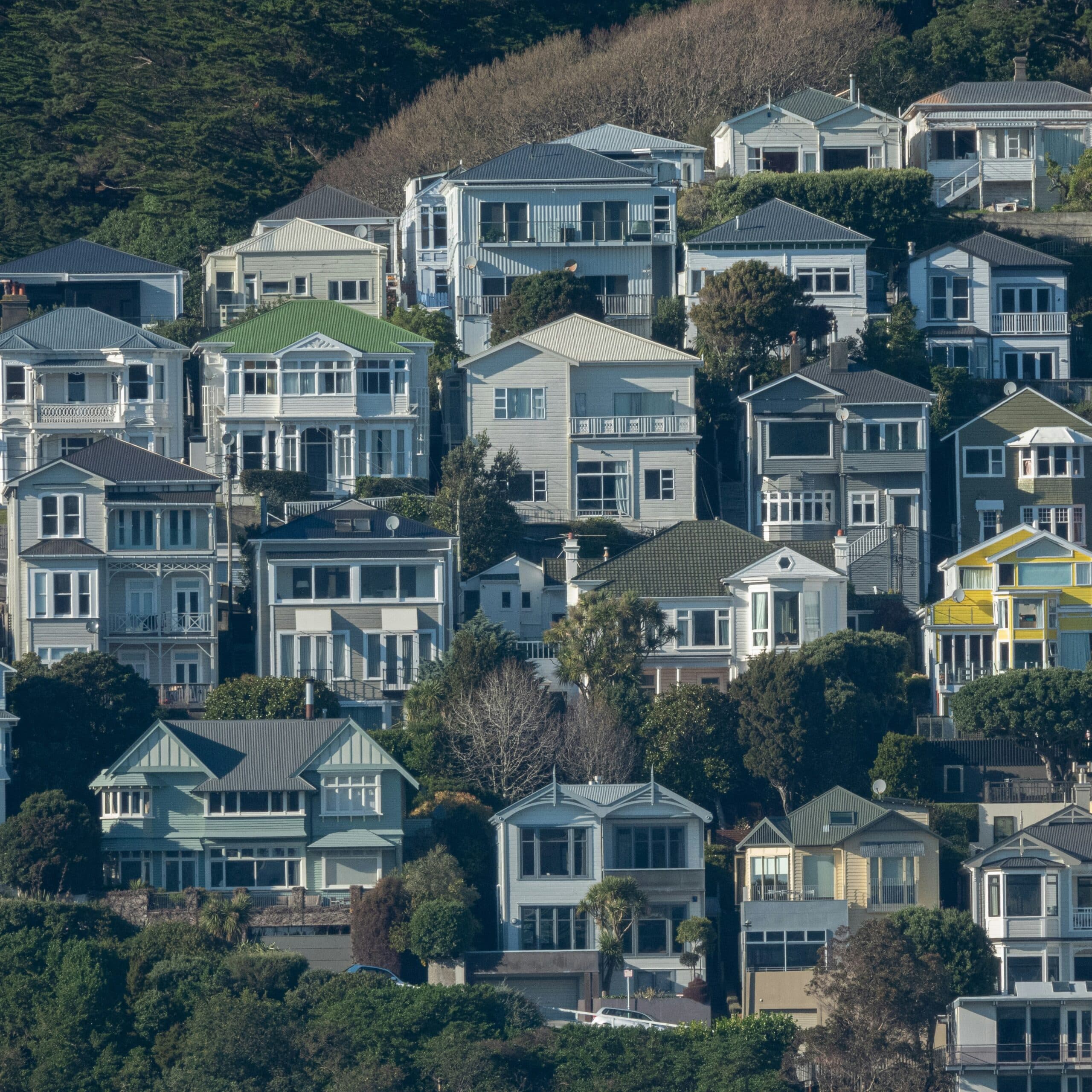 Houses on Mt Victoria, Wellington