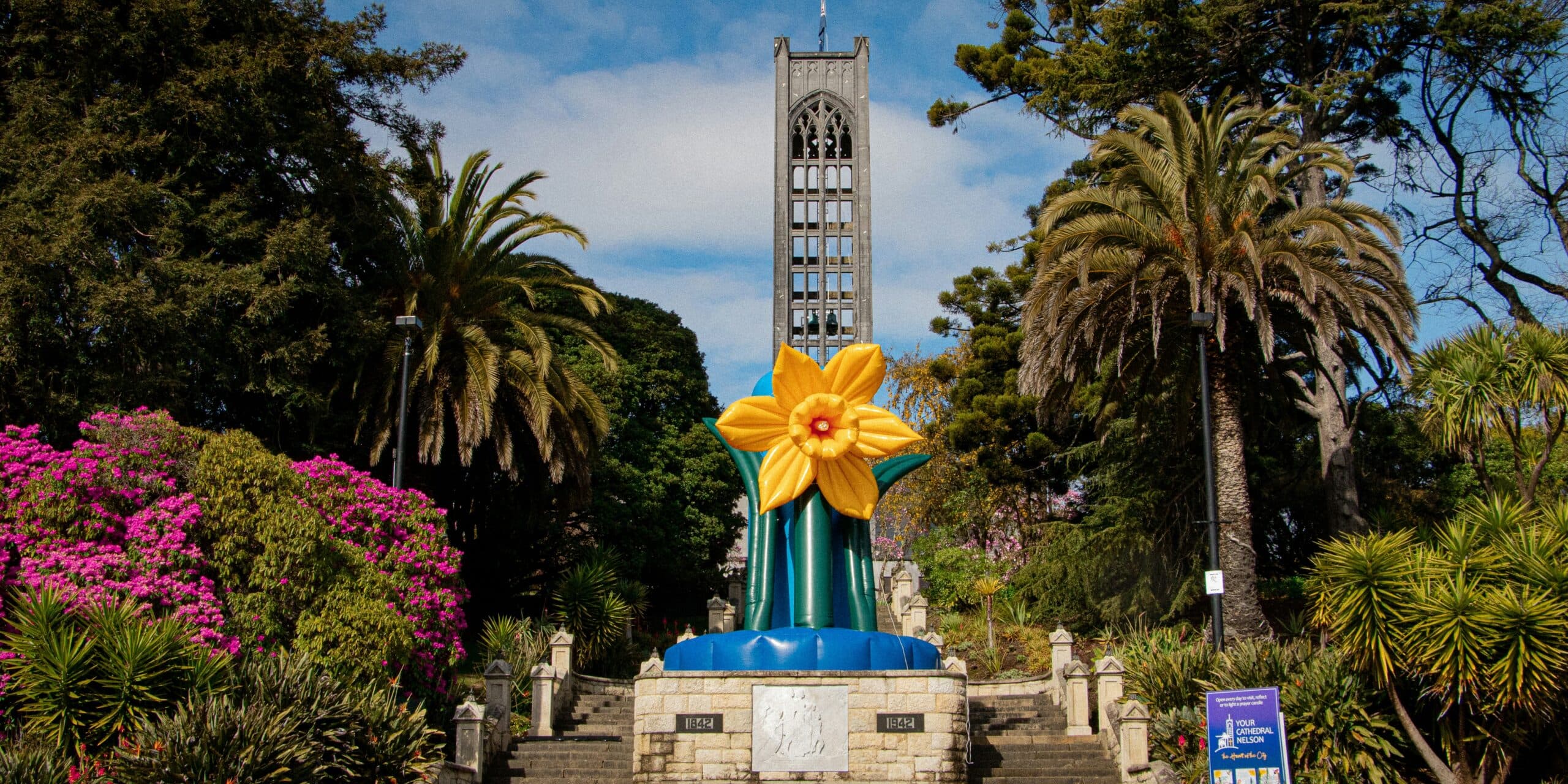 Cawthron Steps on Daffodil Day at Nelson Cathedral