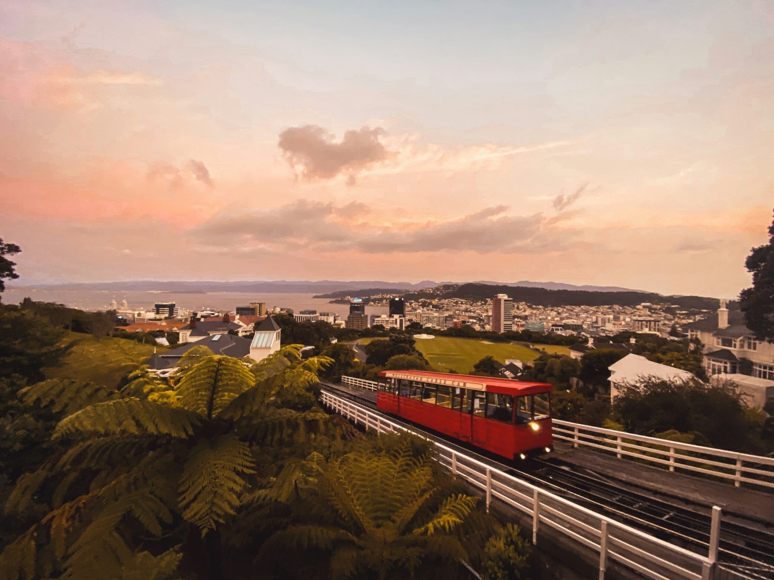 Wellington Cable Car pictured with city in background