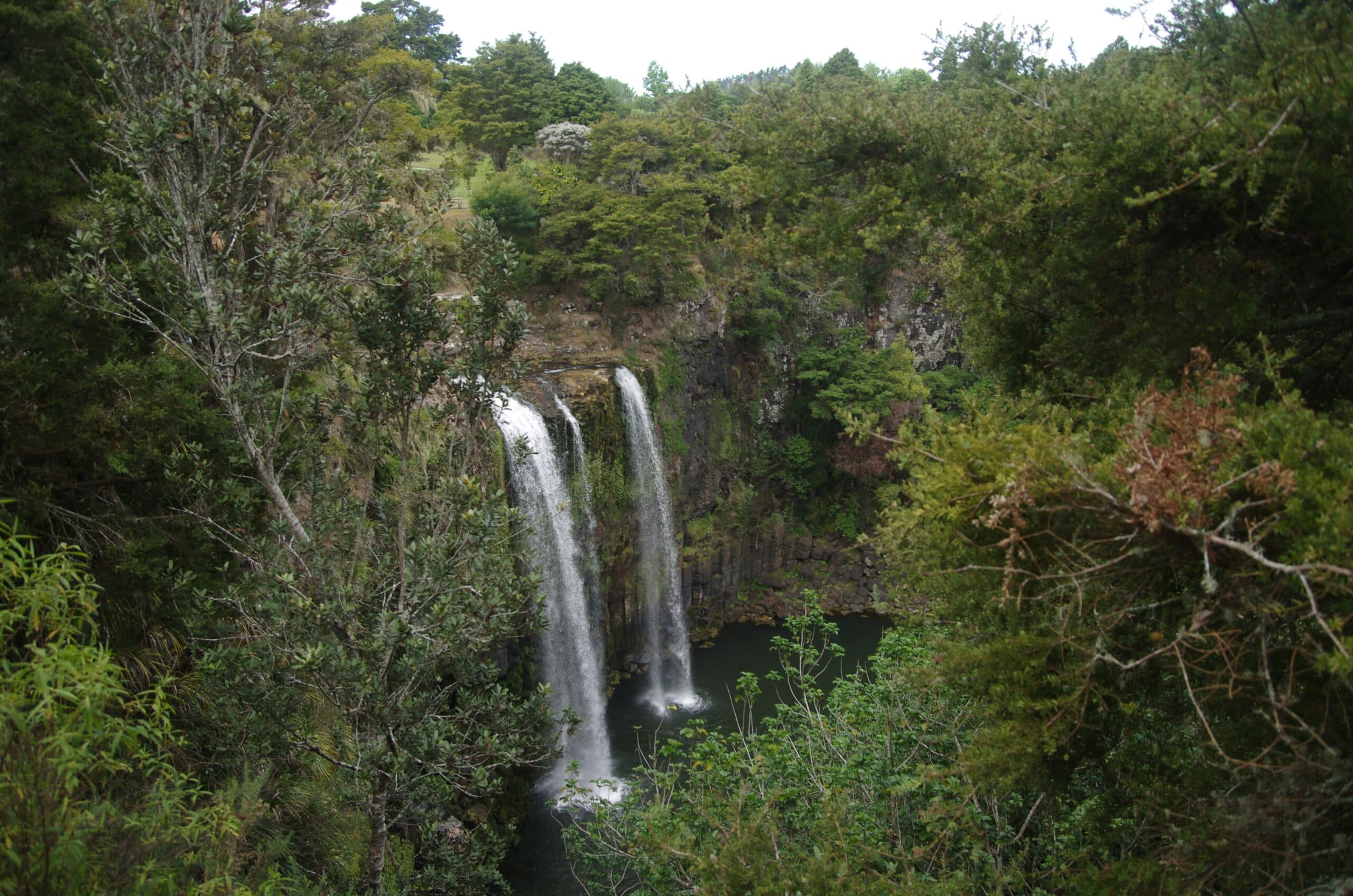 Whangārei Falls, Tikipunga