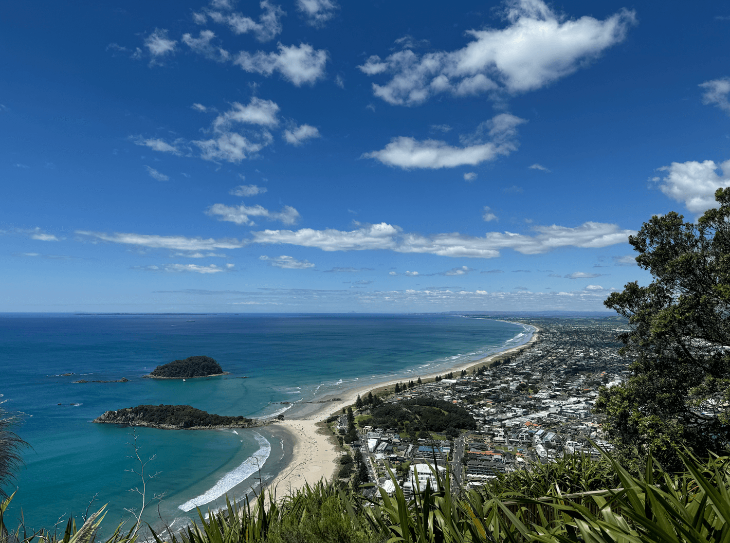 View of the beach of Mt Maunganui in Tauranga from on top of the mountain