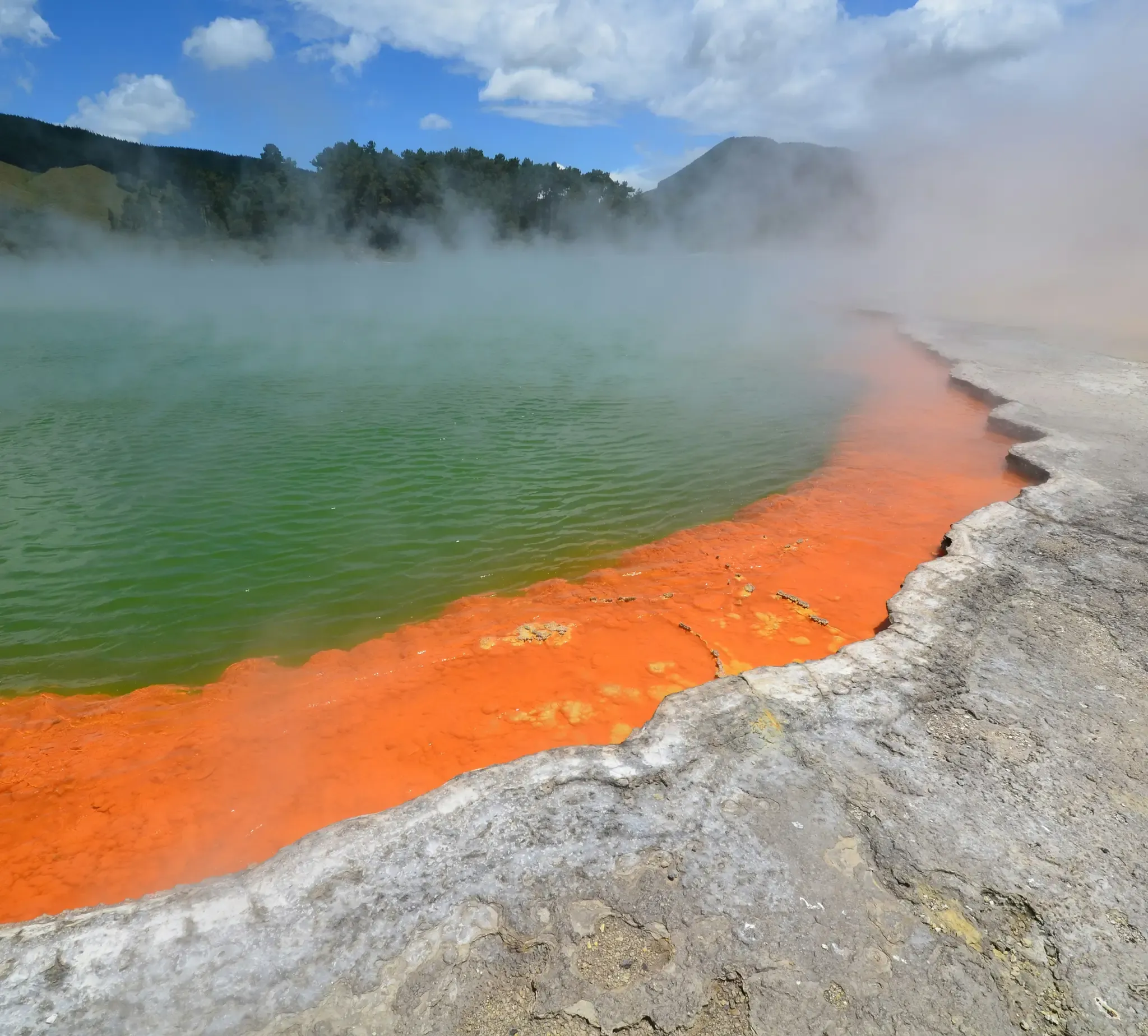 Rotorua Pond