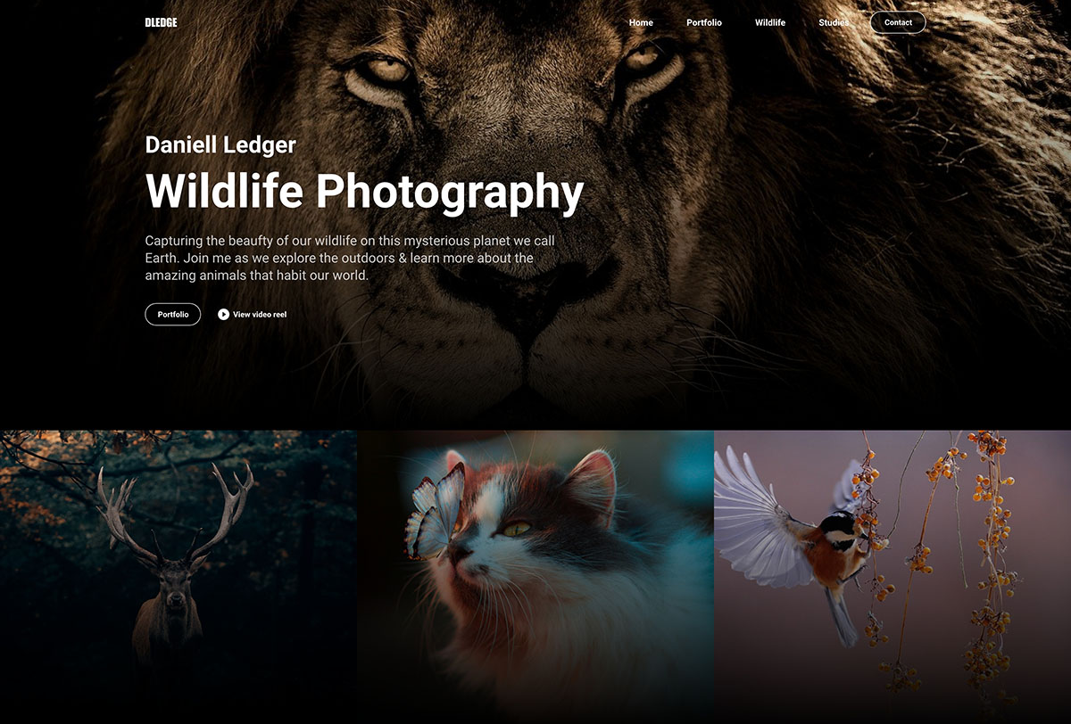 Wild life photography website